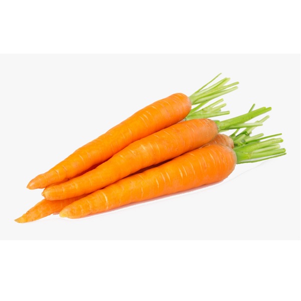 Carrot