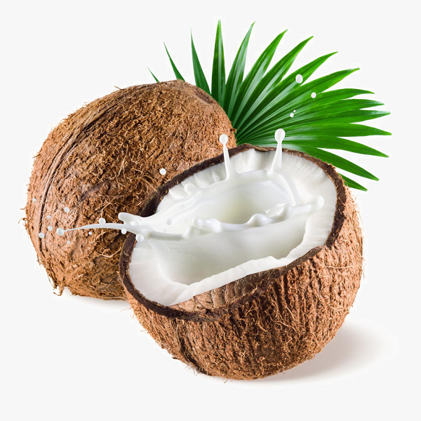 Coconut