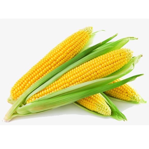 Corn