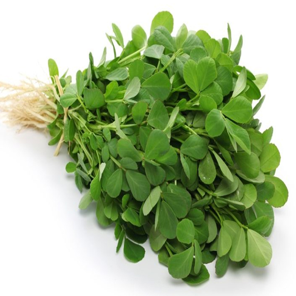 Fenugreek