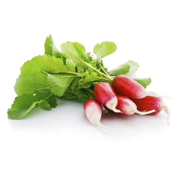 Red Radish