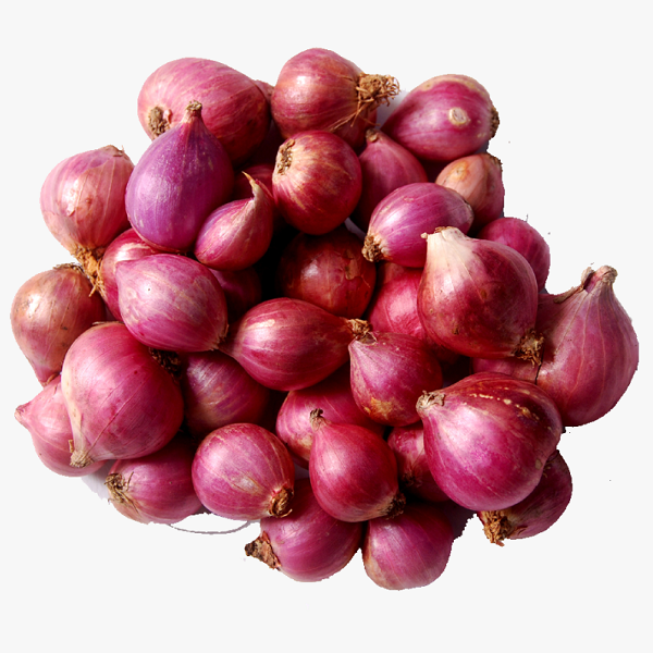 Small Onion