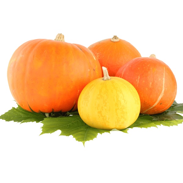 Yellow Pumpkin